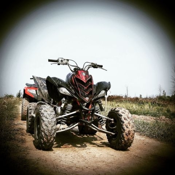 Meet your Posher, James - Picture 1 of 1